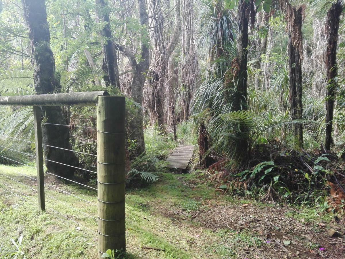 Апартаменти Taranaki Experience Нью-Плімут Екстер'єр фото