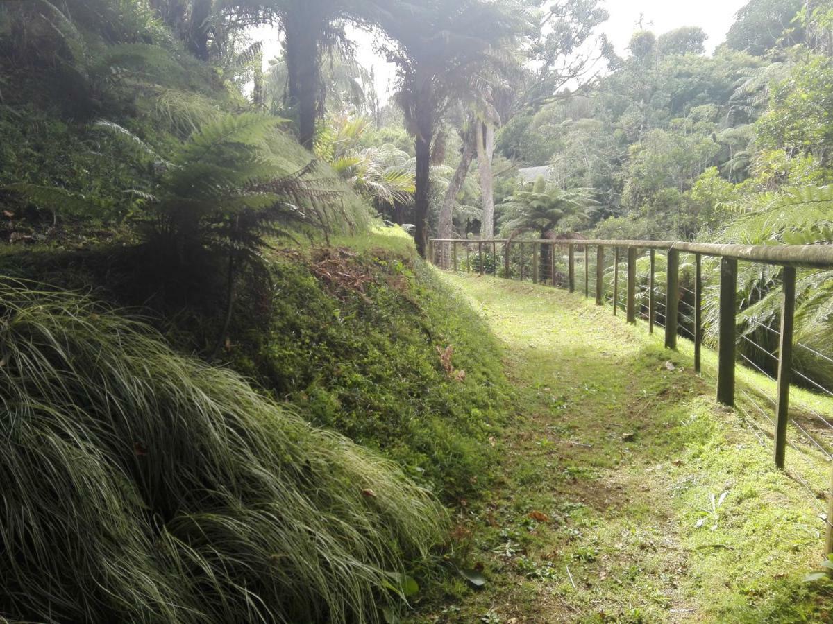 Апартаменти Taranaki Experience Нью-Плімут Екстер'єр фото