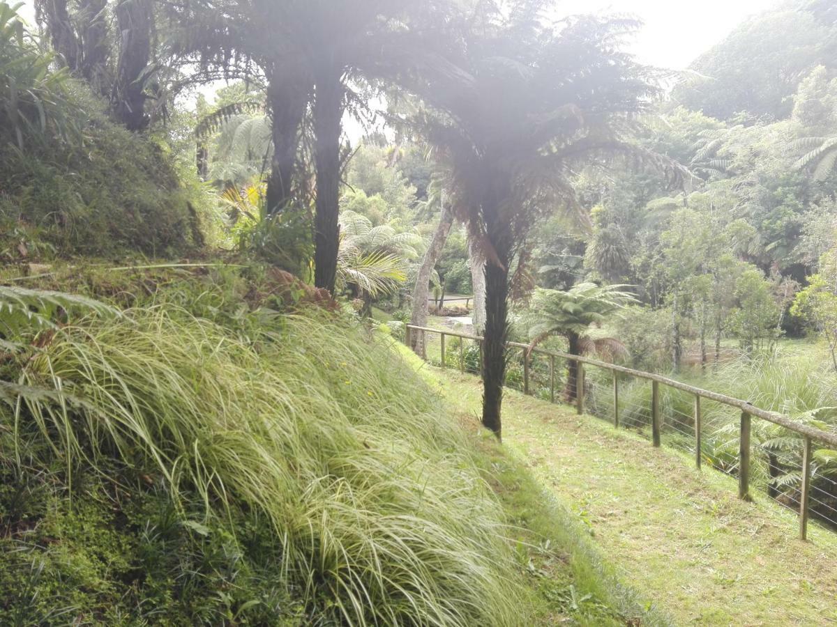 Апартаменти Taranaki Experience Нью-Плімут Екстер'єр фото